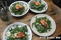 SWR-Grillen 2012-029